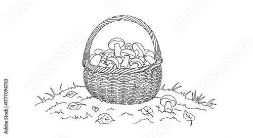 Basket filled with mushrooms resting on the ground in nature  