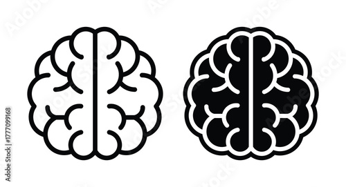 Monochrome Brain Illustration with Distinct White and Black Designs