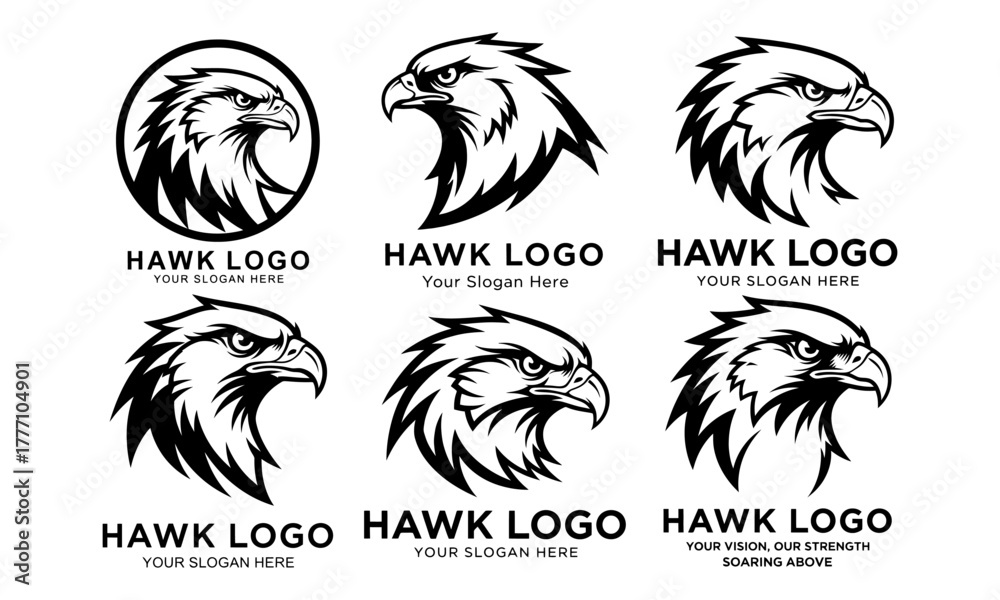 Fototapeta premium Aggressive hawk head logo designs collection