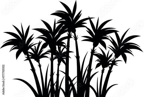 sugarcane plant silhouette, bamboo tree black symbol, 