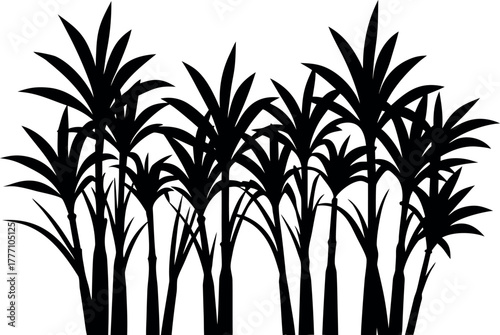 sugarcane plant silhouette, bamboo tree black symbol, 