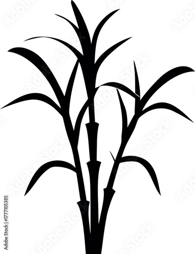 sugarcane plant silhouette, bamboo tree black symbol, 