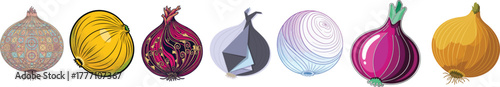 Colorful Onion Vegetable Spice Food Vector Illustration Collection