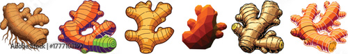 Detailed Ginger Root Spice Vegetable Food Vector Illustration Set