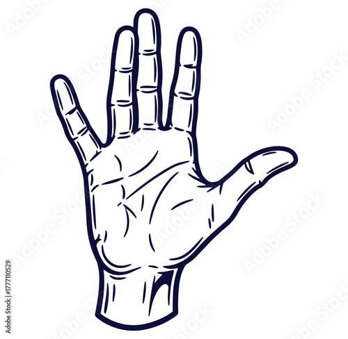 Hand outline drawing showing fingers palm and wrist in a simple illustration style
