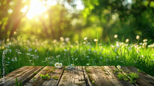 Fototapeta Naklejka Na Ścianę i Meble -  Sunny summer meadow with daisies and an old wooden deck
