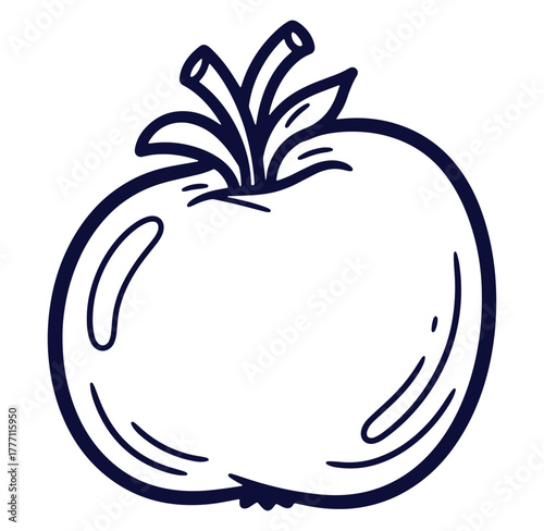Simple hand drawn illustration of a fresh and ripe tomato fruit isolated on white background