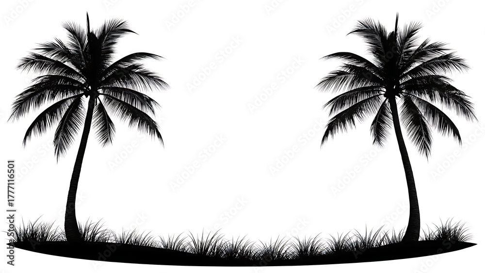Fototapeta premium Silhouette of two tall palm trees with lush grass against a clean white background