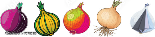 Colorful Onion Bulbs Vegetable Spice Food Vector Illustration Set