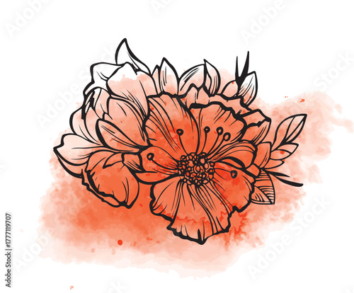 A floral bouquet with large flowers and leaves outlined in black on an orange watercolor background. Botanical linear illustration. Spring nature concept. Vector illustration isolated on a white
