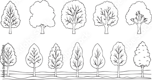 Tree Outlines Collection - Black and White Sketch Illustrations for Educational Resources, Silhouettes for Landscape Design, Architectural Renderings, and Creative Projects