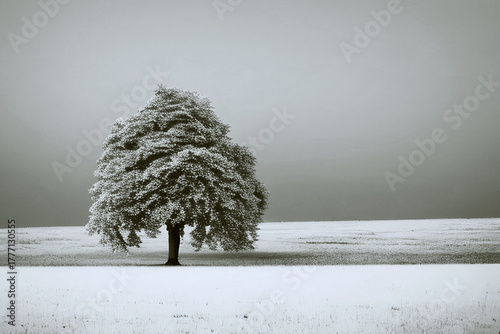 first snow in the field with lone tree. AI generated