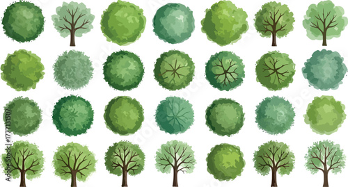 Overhead Trees Vector Design | Various Tree Top Views for Landscape Architecture, Garden Design, and Urban Planning