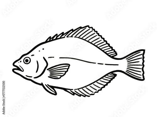 Simple illustration of a flounder. Simple. Seafood. Sketches, doodles. Monochrome.