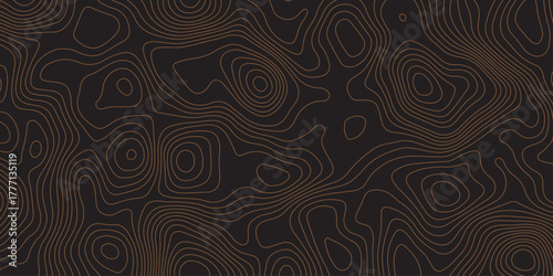Elegant dark contour line pattern resembling topographic map design. Abstract wavy lines creating a modern, minimal texture. Perfect for backgrounds, wallpapers, or branding visuals.
