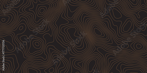 Elegant dark contour line pattern resembling topographic map design. Abstract wavy lines creating a modern, minimal texture. Perfect for backgrounds, wallpapers, or branding visuals.