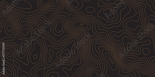 Elegant dark contour line pattern resembling topographic map design. Abstract wavy lines creating a modern, minimal texture. Perfect for backgrounds, wallpapers, or branding visuals.