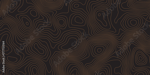 Elegant dark contour line pattern resembling topographic map design. Abstract wavy lines creating a modern, minimal texture. Perfect for backgrounds, wallpapers, or branding visuals.