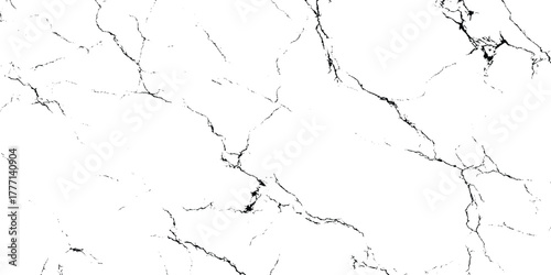 Abstract Black and White Marble Vein Texture Pattern.