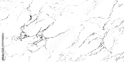 Abstract Black and White Marble Vein Texture Pattern.