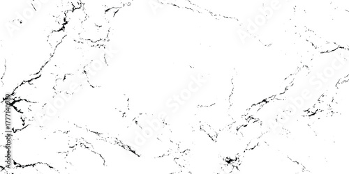 Abstract Black and White Marble Vein Texture Pattern.
