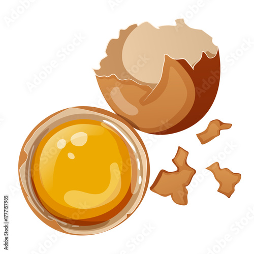 Broken Egg with Yolk and White Inside Half Shell and Eggshell Fragments – Overhead Food Illustration for Cooking, Baking, and Recipe Designs