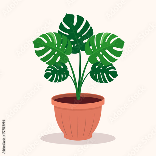 Monstera Deliciosa Houseplant in Terracotta Pot - Flat Design Illustration