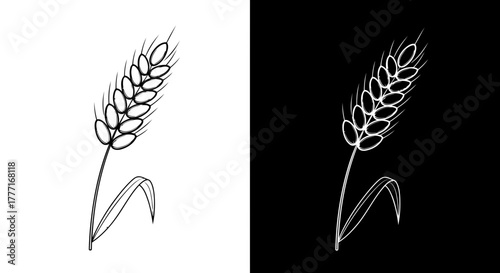 Simple black and white line drawing of a single wheat stalk with leaves on a contrasting background