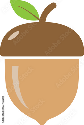 illustration of an acorn vector