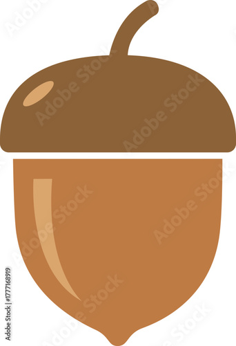 vector illustration of an acorn