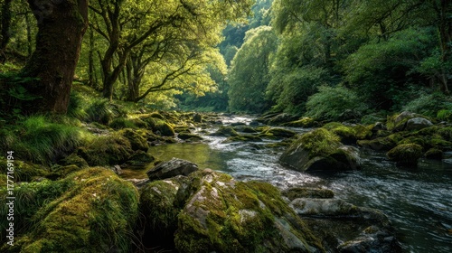 A gentle river flows among moss covered rocks and vibrant green trees creating a tranquil scene.