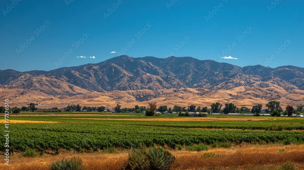Fototapeta premium Summer Fields of Tehachapi: Vibrant Crops and Rolling Farmland Set Against the California Mountains