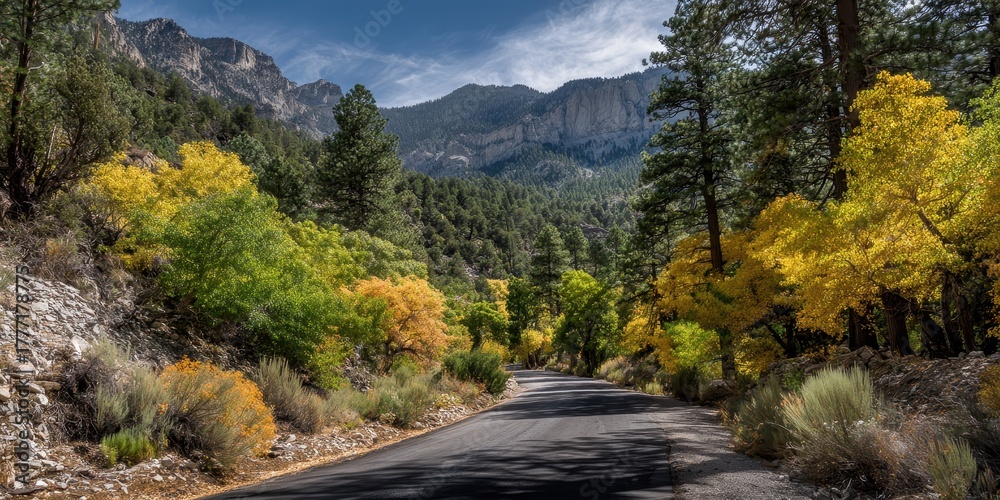 Fototapeta premium Spring Awakening at Mount Charleston, Nevada: A Scenic Journey Through Forested Landscapes and Vibrant Nature