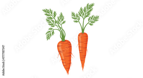 Two vibrant orange carrots with their healthy green leafy tops stand upright, showcasing fresh, organic, and nutritious produce.