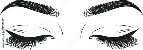 Elegant woman eyes closed with long eyelashes and defined eyebrows minimalist line art beauty fashion concept vector