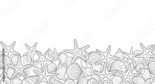 Outline of various seashells and starfish forming a decorative border at the bottom, with ample copy space above on a white background.
