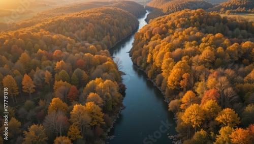 Aerial View of Winding River Surrounded by Vibrant Autumn Foliage in a Scenic Landscape