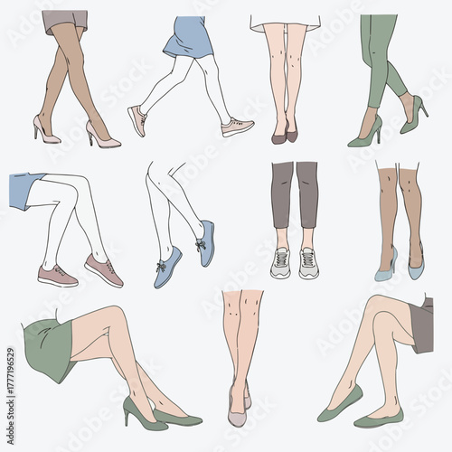 Fashionable legs and hosiery collection diverse styles footwear and apparel for modern women vector