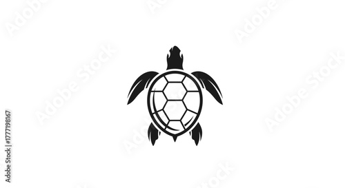 A black and white graphic illustration of a turtle with a hexagonal shell pattern, viewed from above, on a white background.
