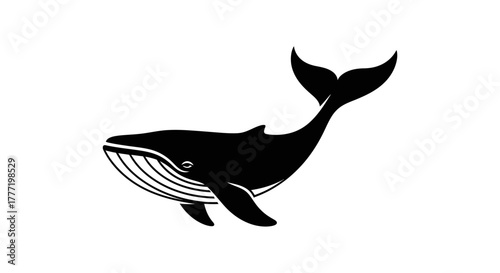 A stylized black silhouette of a humpback whale swimming with its fluke raised.