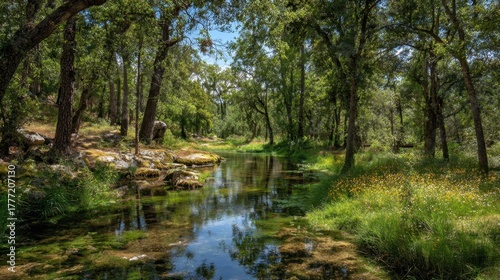 A serene stream flows gently through a vibrant green forest filled with trees and wildflowers.