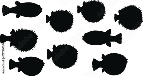 Black puffer fish silhouette collection on white background, marine animal vector design, sea life illustration for logo, pattern, icon, and decoration use