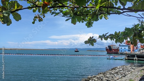 Sunny Day Harbor With Boats and Green Trees