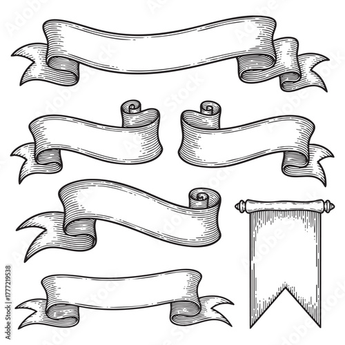 Set of Blank Scroll Banners Ribbons Engraving Vector Illustration
