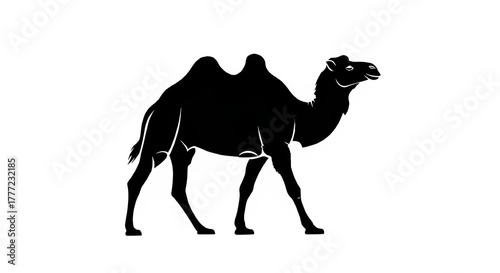 Captivating silhouette of a camel against a stark black background highlighting desert life