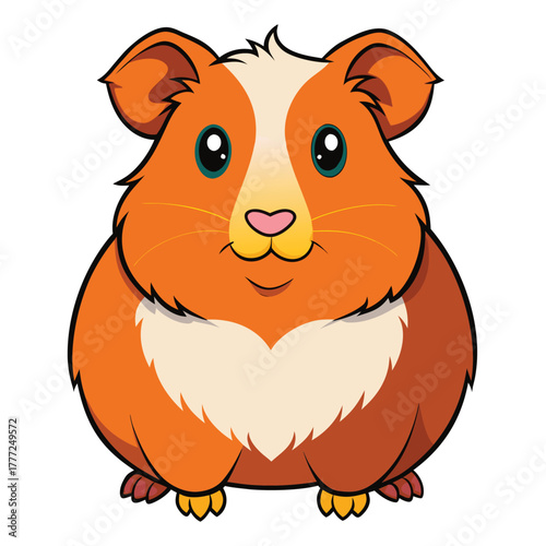 Guinea Pig Color Vector Illustration