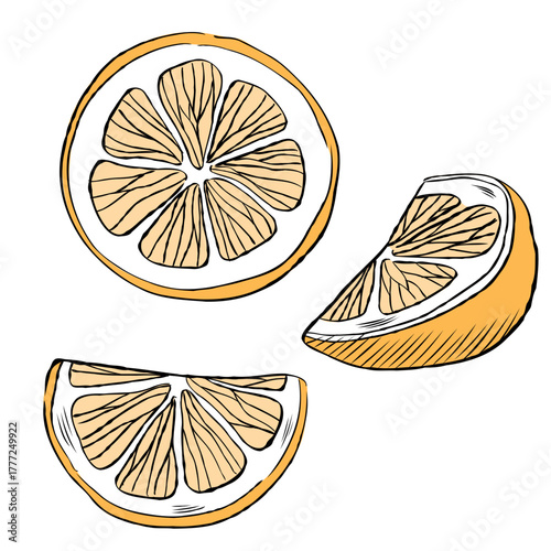 Cartoon vector illustration of a lemon chopped into slices isolated on transparent background. Clip art for healthy juice packaging