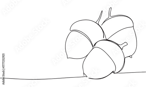 Continuous Line Art of Three Acorns