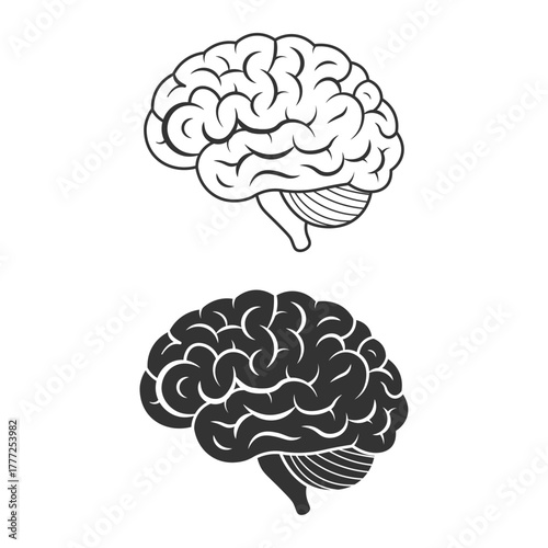 black and white illustrations of a brain