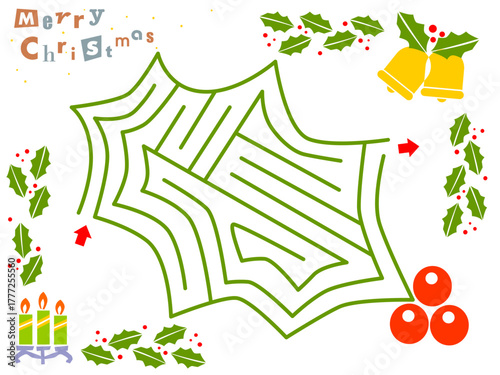 ヒイラギの葉の迷路